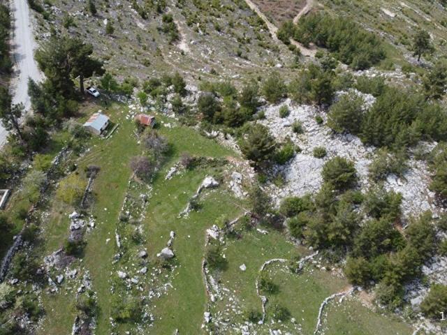 Dalaman, Muğla içerisinde satılık Arsa