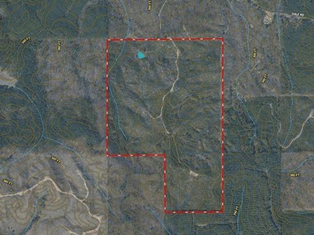 Land for sale in Duck Hill, Mississippi