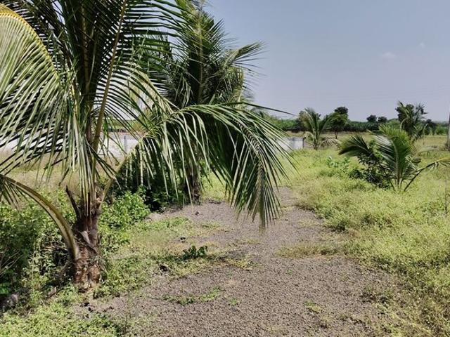 Land for rent in Poona, National Capital Territory Of Delhi