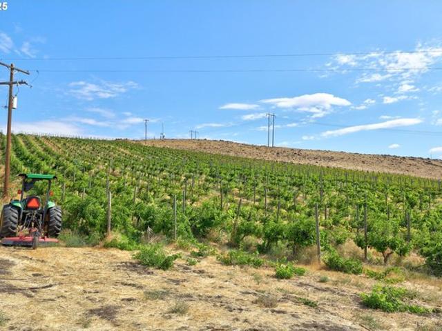 Farm for sale in Dallesport, Washington