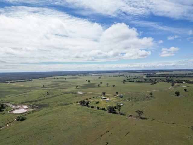 Cottage for sale in West Wyalong, New South Wales
