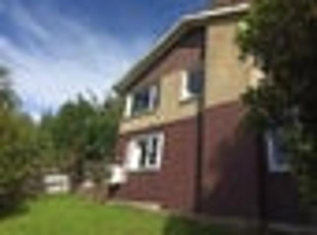Apartment for rent in Otakou