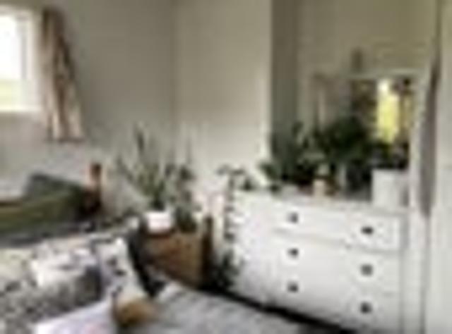 Apartment for rent in Dalmore, Dunedin
