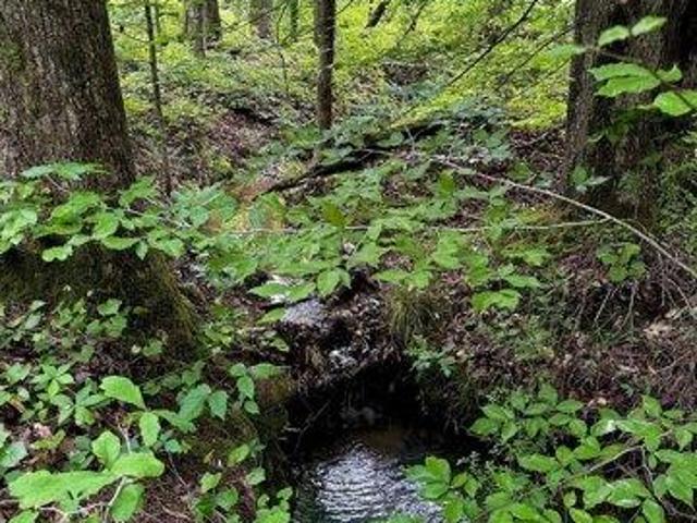 Land for sale in Dalton, Georgia