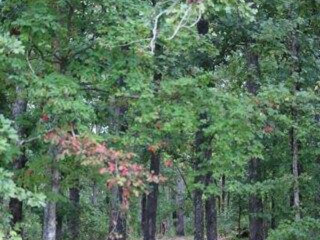 Land for sale in Dalton, Georgia
