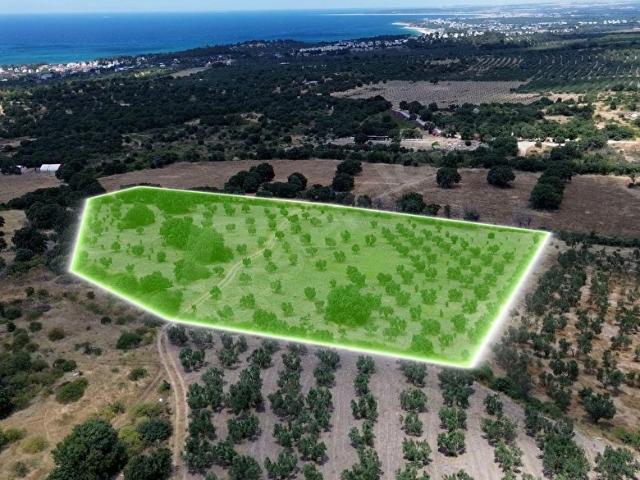Dalyan, Ezine içerisinde satılık Arsa