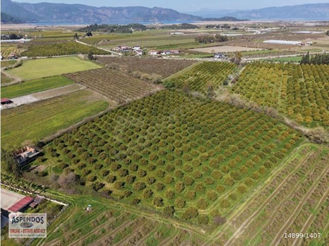 Ortaca, Muğla içerisinde satılık mülk