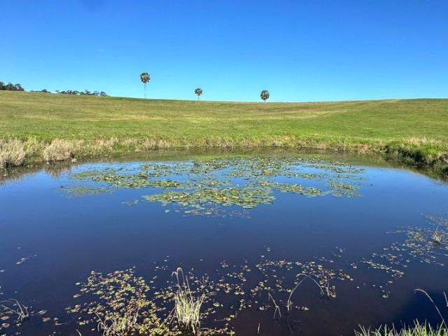 Land for sale in Newee Creek, New South Wales