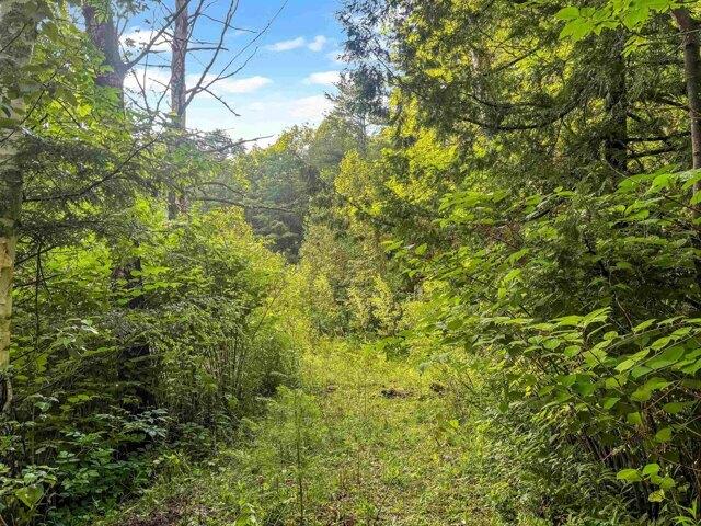 Land for sale in Chittenden, Vermont