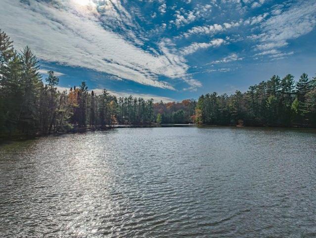 Land for sale in Three Lakes, Wisconsin