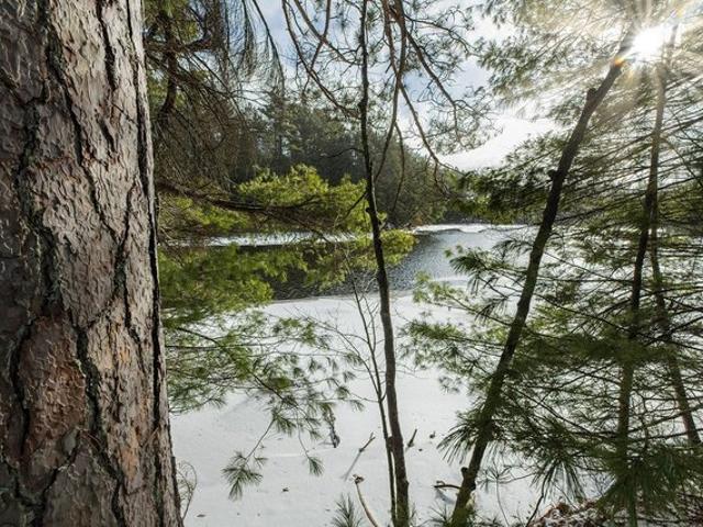 Land for sale in Three Lakes, Wisconsin