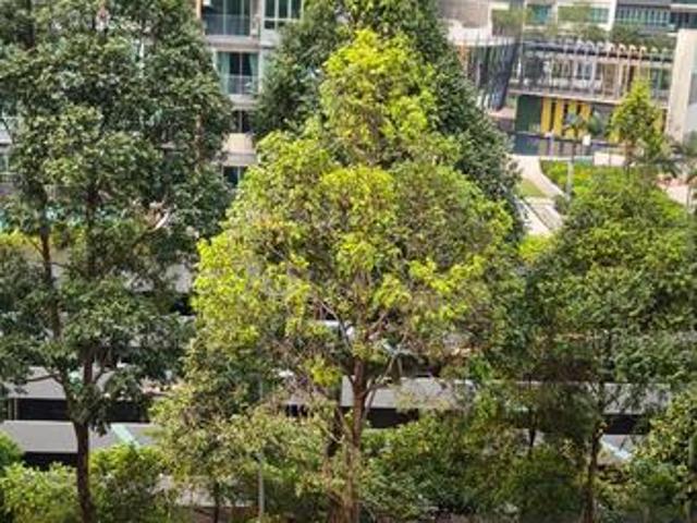 Serviced Residence for rent in Petaling, Damansara Damai