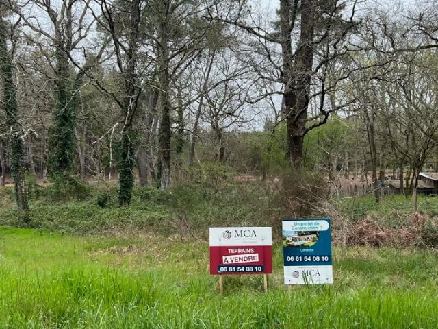 Terrain vente à Nérac, Damazan