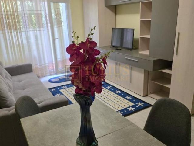 Apartament închirieri în Timisoara, Timiș