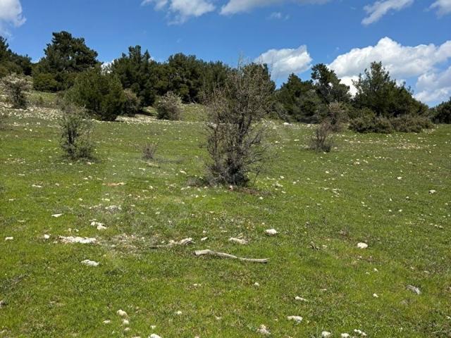 Kemalpaşa, İzmir içerisinde satılık Arsa