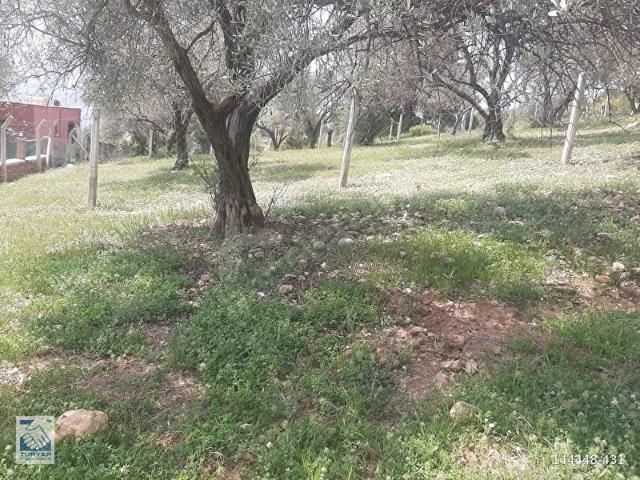 Kemalpaşa, İzmir içerisinde satılık Arsa