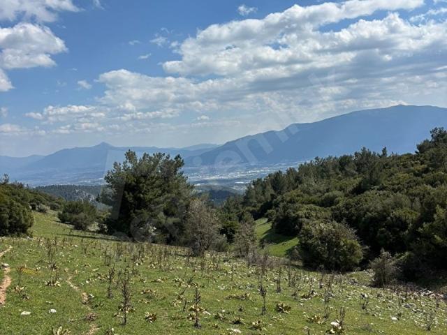 Kemalpaşa, İzmir içerisinde satılık Arsa