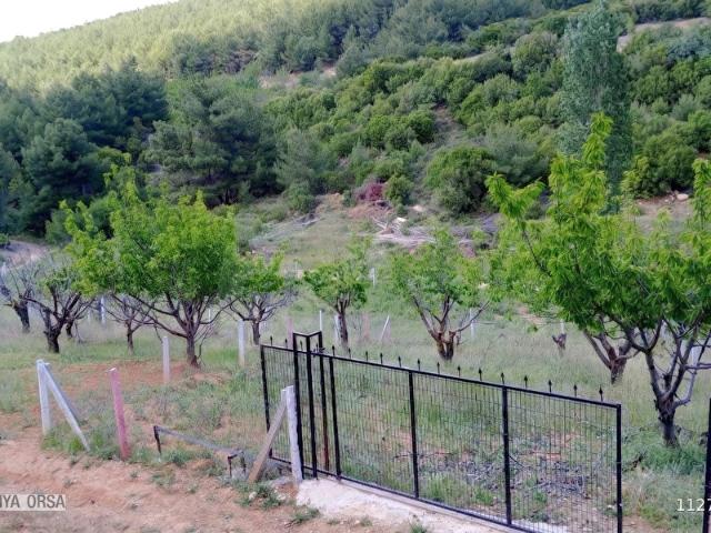 Kemalpaşa, İzmir içerisinde satılık Arsa