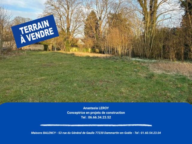 Terrain vente à Dammartin-en-Goële, Seine-et-Marne