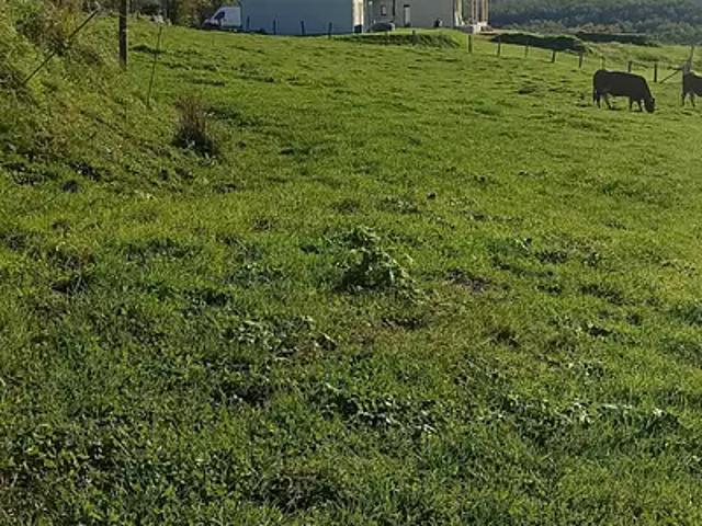 Terrain vente à Le Peuch, Dampniat