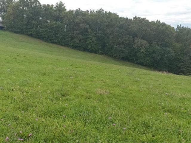 Terrain vente à Brive-la-Gaillarde, Dampniat