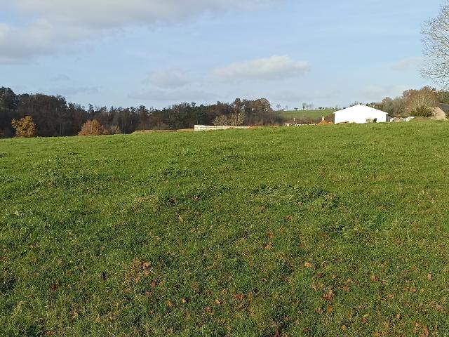 Terrain vente à Brive-la-Gaillarde, Dampniat