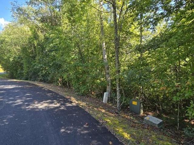 Land for sale in Hayesville, Clay County