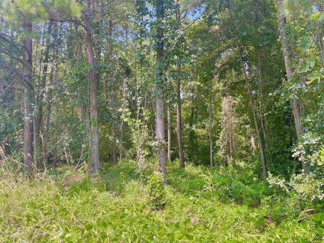 Land for sale in Macon Land for sale in Macon