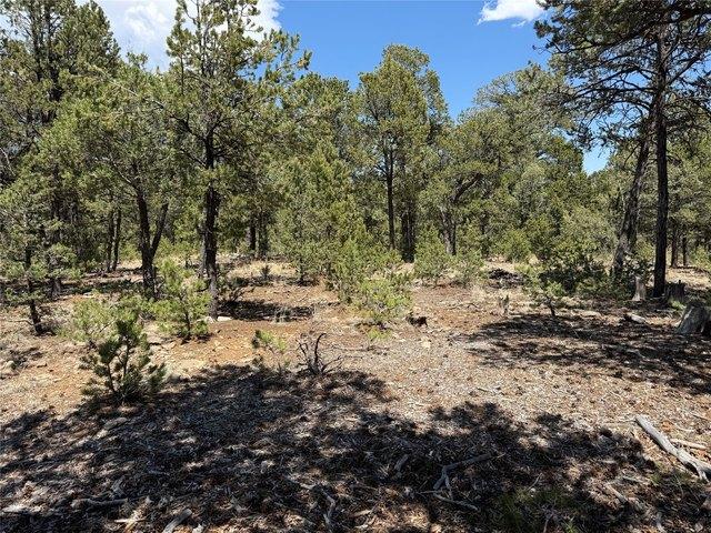 Land for sale in Pecos, San Miguel County