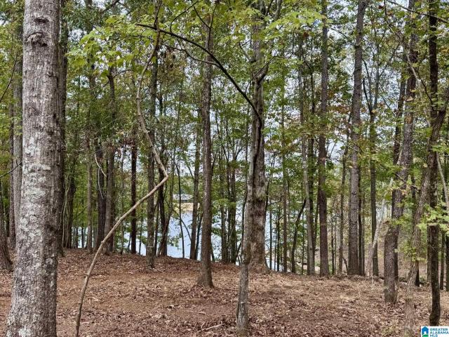Land for sale in Wedowee, Alabama