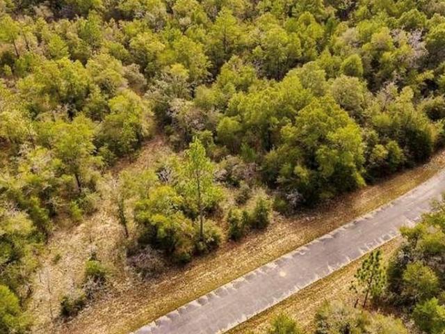 Land for sale in Chipley, Florida