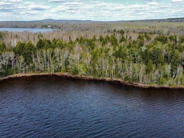 Land for sale in Danforth, Maine