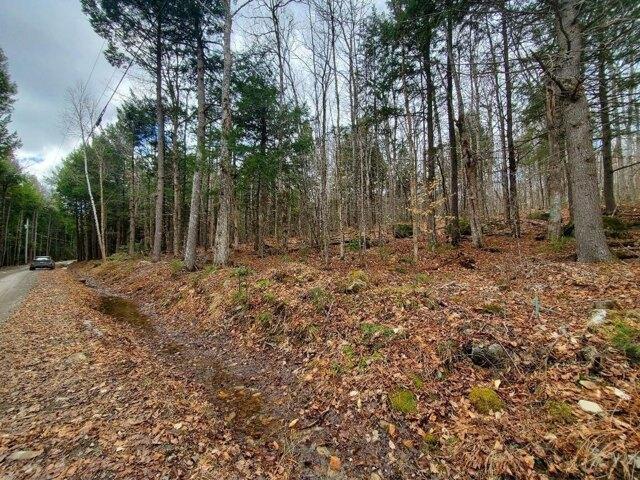 Land for sale in Danforth, Maine