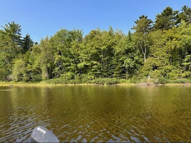 Land for sale in Danforth, Maine
