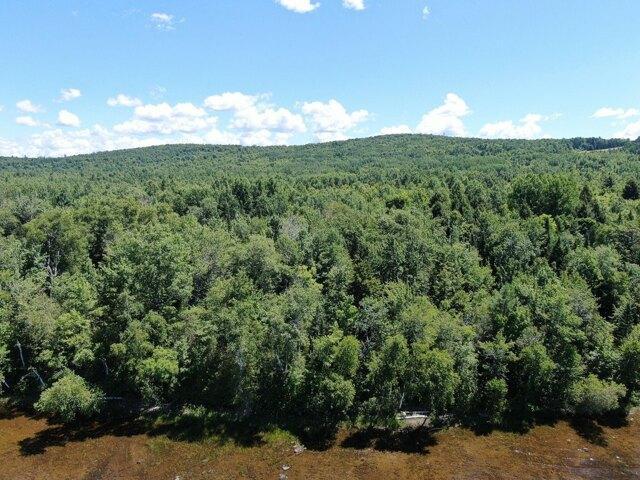 Land for sale in Danforth, Maine