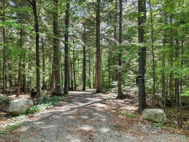 Land for sale in Danforth, Maine