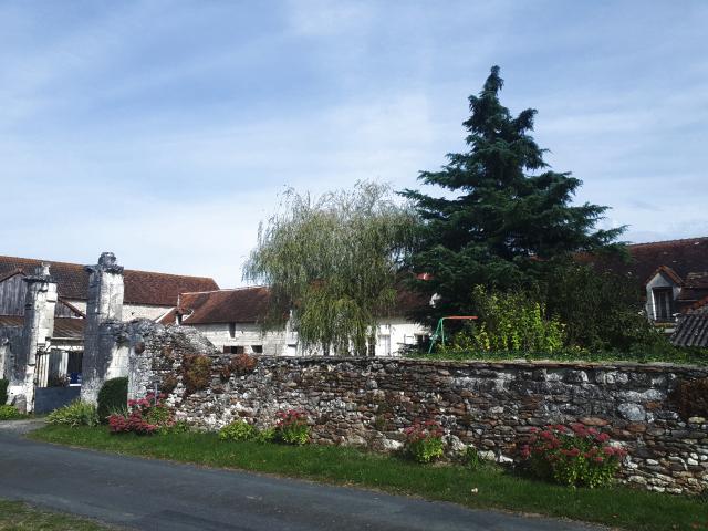 Château vente à Châtellerault, Dangé-saint-romain