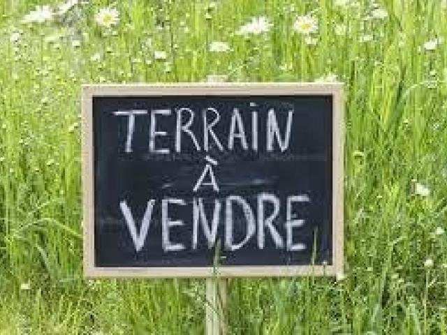 Terrain vente à Châtellerault, Dangé-saint-romain