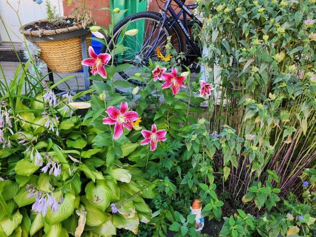 House for rent in Peterborough, Ontario