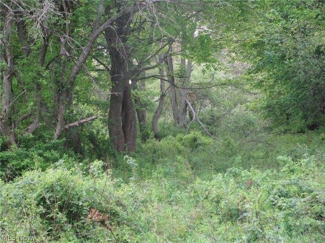Land for sale in Conneaut, Ohio