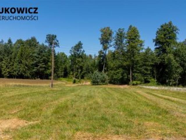 Grunt na sprzedaż w Dankowice, Śląskie