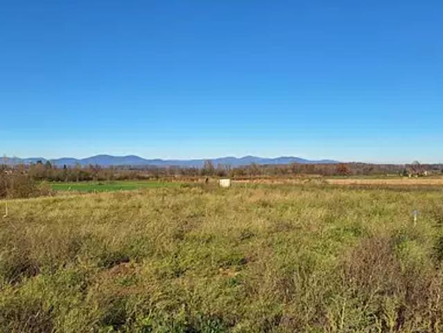 Terrain vente à Dannemarie, Collectivité européenne d'Alsace
