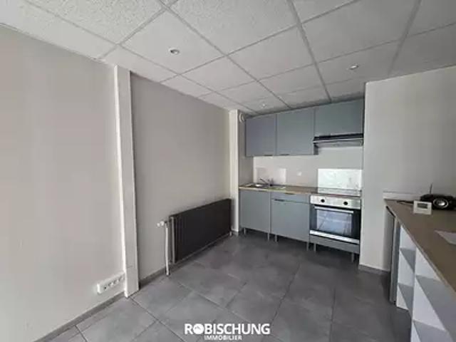 Appartement location à Dannemarie, Collectivité européenne d'Alsace
