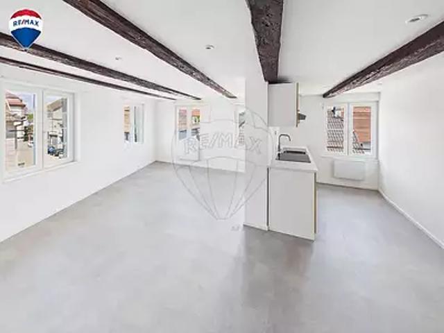 Appartement location à Dannemarie, Collectivité européenne d'Alsace