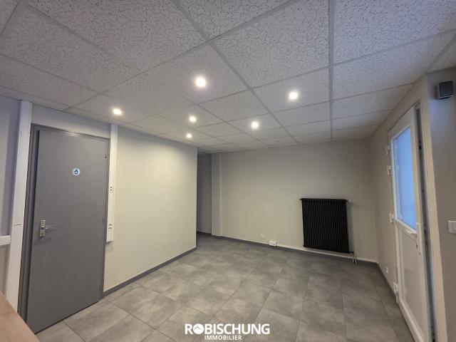 Appartement location à Dannemarie, Collectivité européenne d'Alsace
