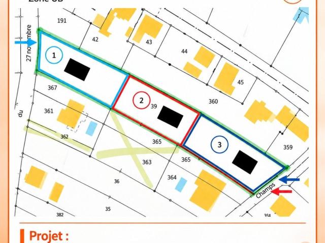 Terrain vente à Dannemarie, Collectivité européenne d'Alsace