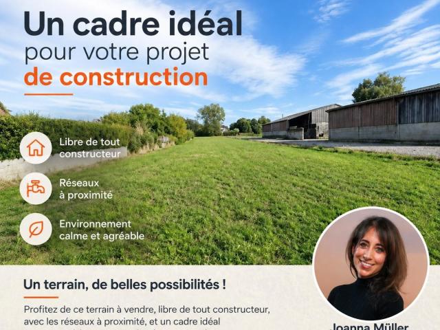 Terrain vente à Dannemarie, Collectivité européenne d'Alsace