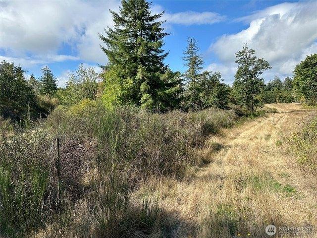 Land for sale in Oakville, Washington