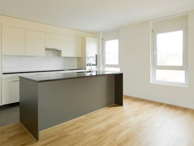 Apartment mieten in Frauenfeld
