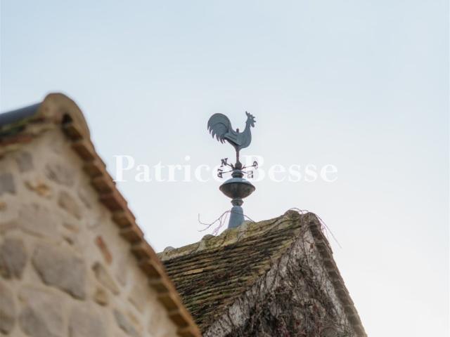 Maison vente à Fontainebleau, Barbizon